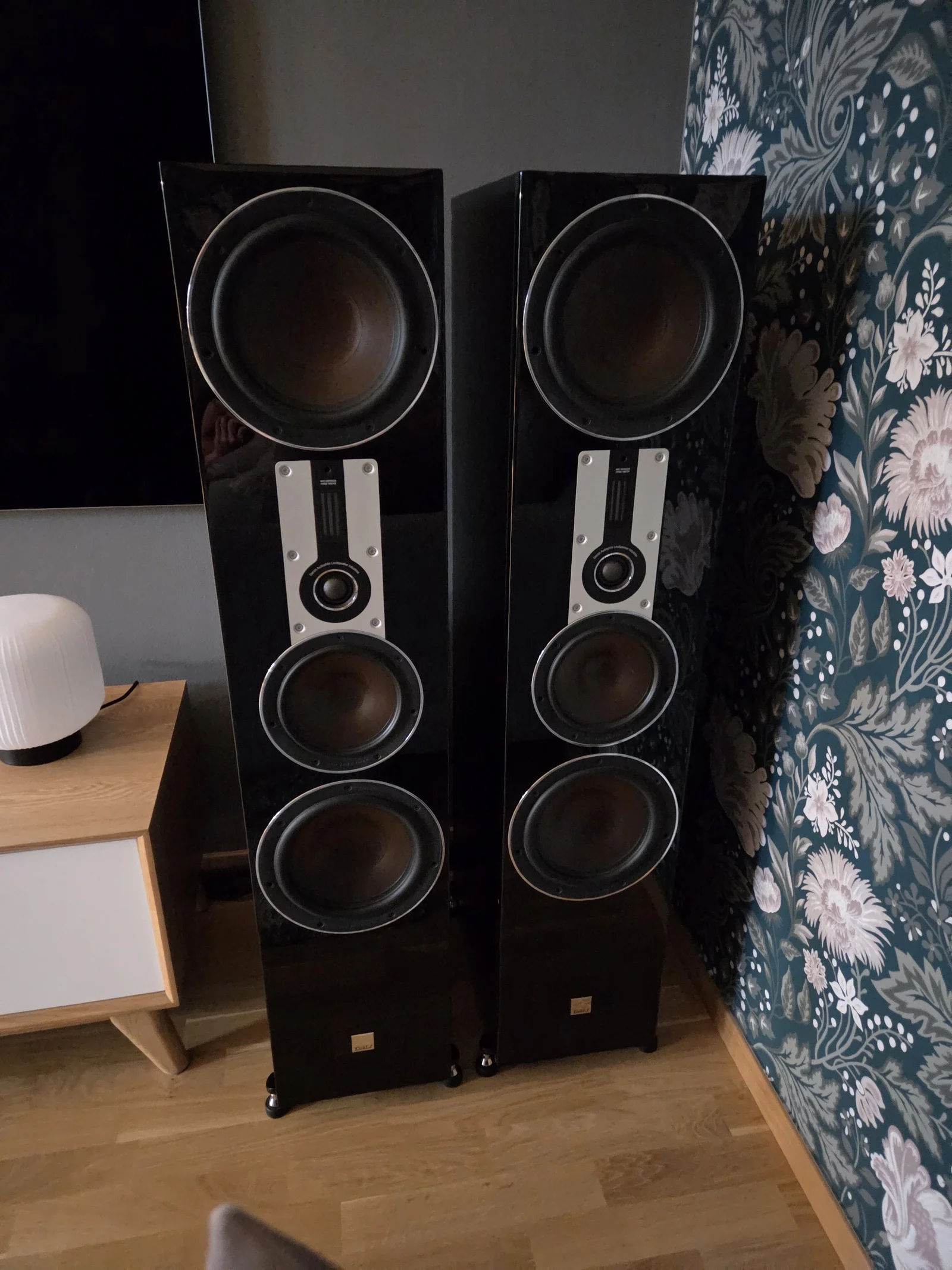 Dali opticon 8 med soundcare spikes , pioneer A-70DA - K, harmonic tech biwire ,supra