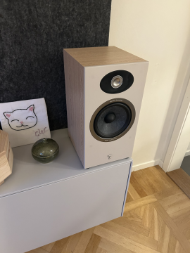 Högtalare Focal Theva no1
