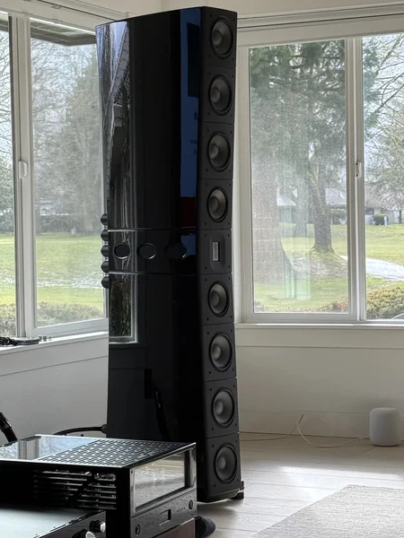 Raidho Acoustics TD 4.8 Speakers in Gloss Black - Bild 2 av 3