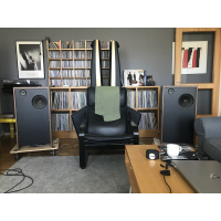 Voighthorn med Pioneer alnicoelement