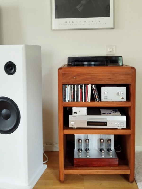 Rauna Continuo Hansson/Nykroppa - Bild 1 av 4