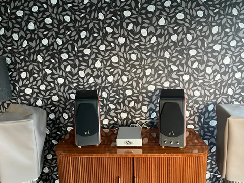 Swans M-200