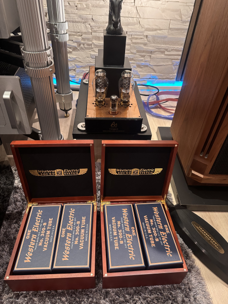 Audio note conquest monobloc 300b Audio note conquest monobloc 300b - Bild 3 av 6