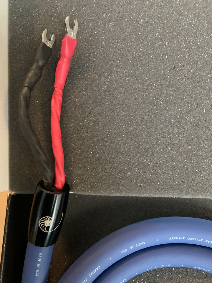 CARDAS CLEAR BEYOND SPEAKER