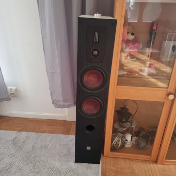Dali Ikon 6 MK2 Vita