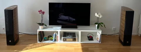 Dali Epicon 6 (valnöt)