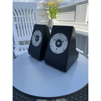 Scan-Speak Revelator R2904/700000 Ringradiator Diskanthögtalare