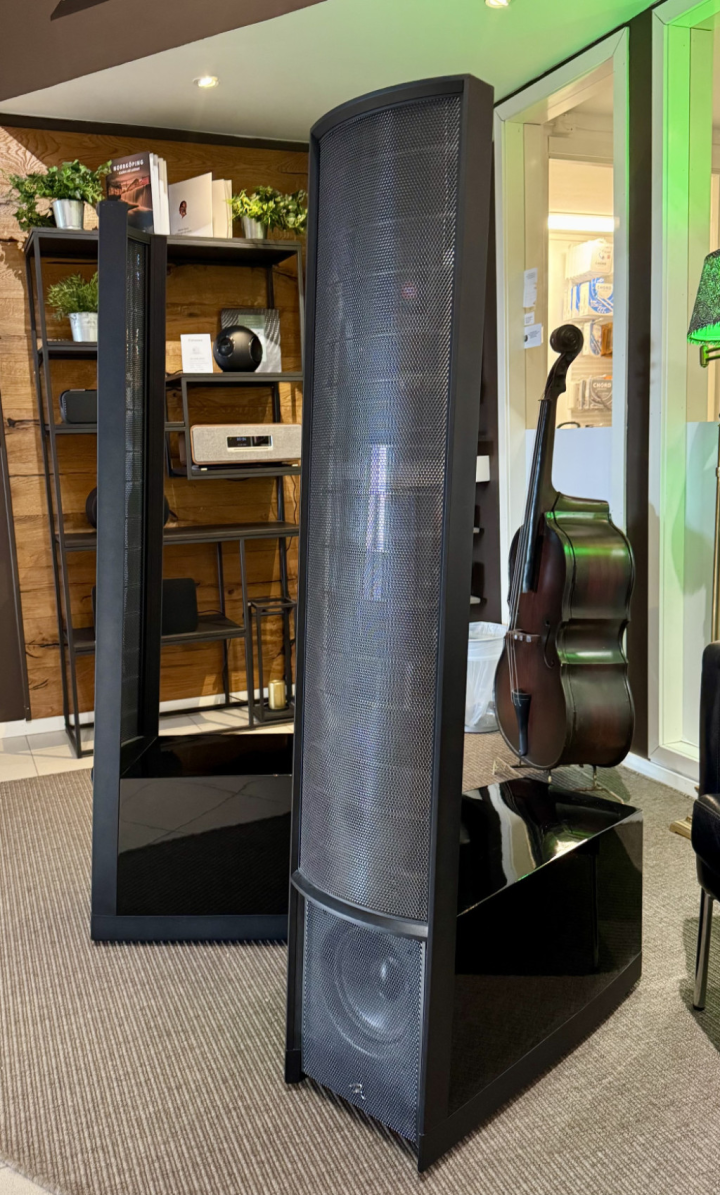 Martin Logan Impression ESL 11A