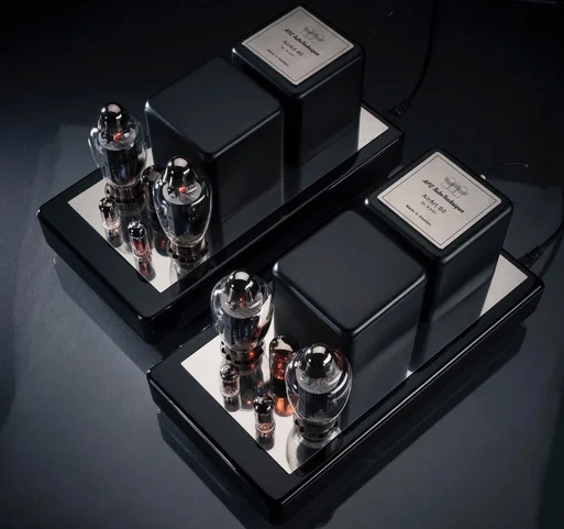 APS Airart 170 Monoblocks. - Bild 2 av 9