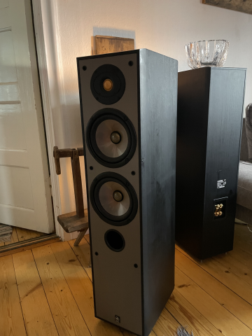 Yamaha NS-300 