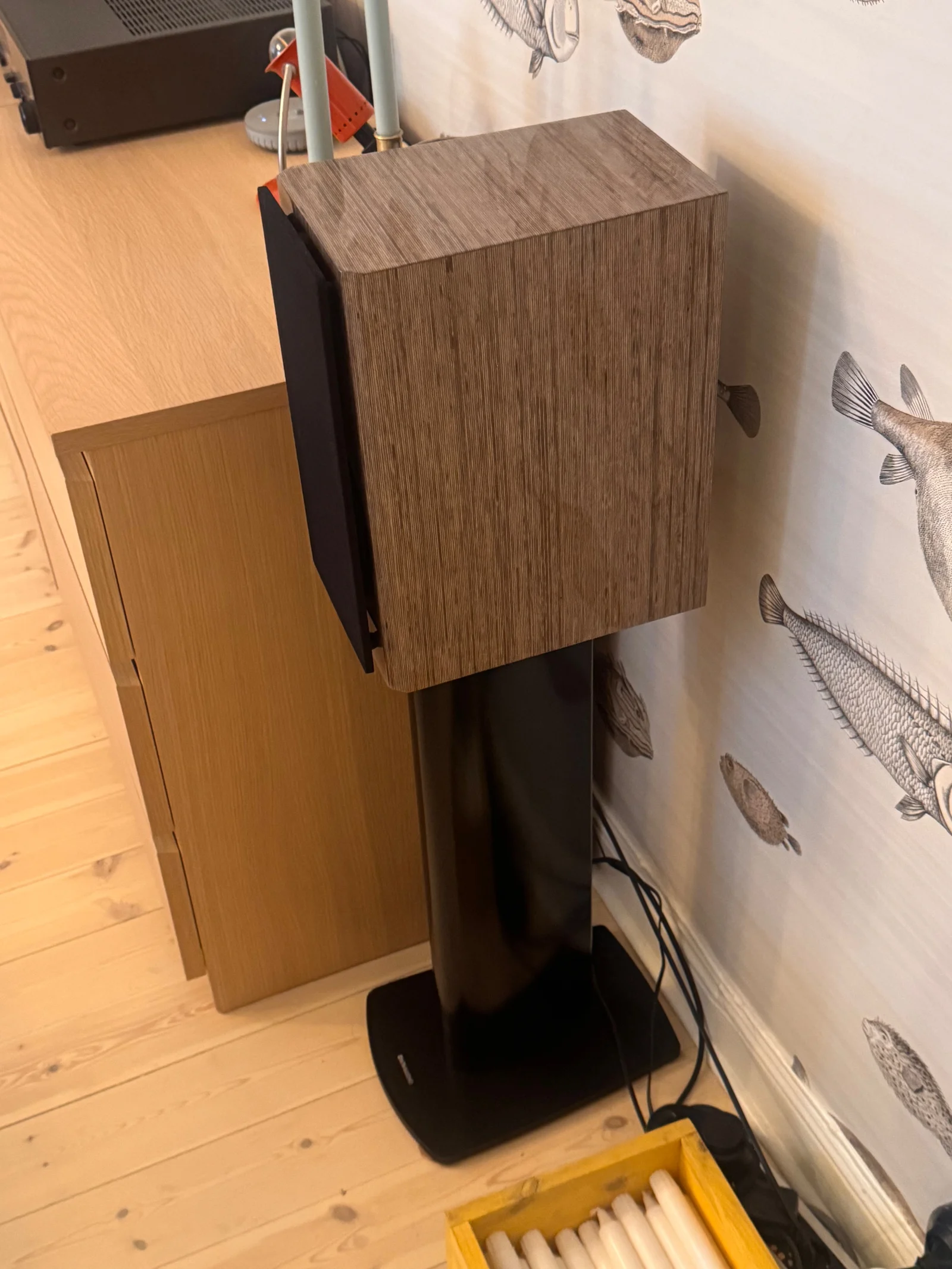 Dynaudio Special Forty