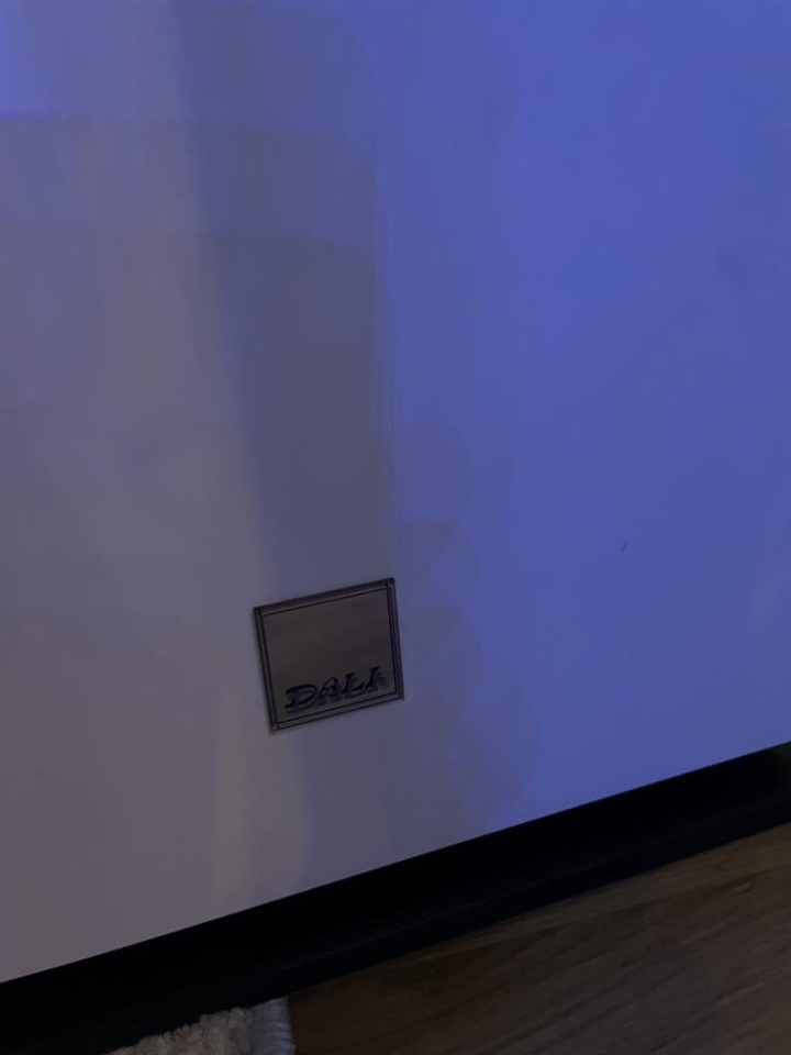 premium subwoofer DALI SUB P-10 