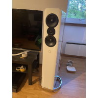 Acoustic högtalare och magnat förstärkare 