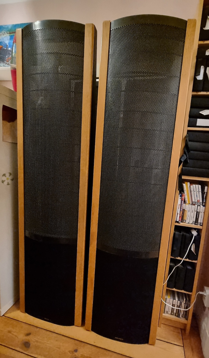 Martin Logan reQuest