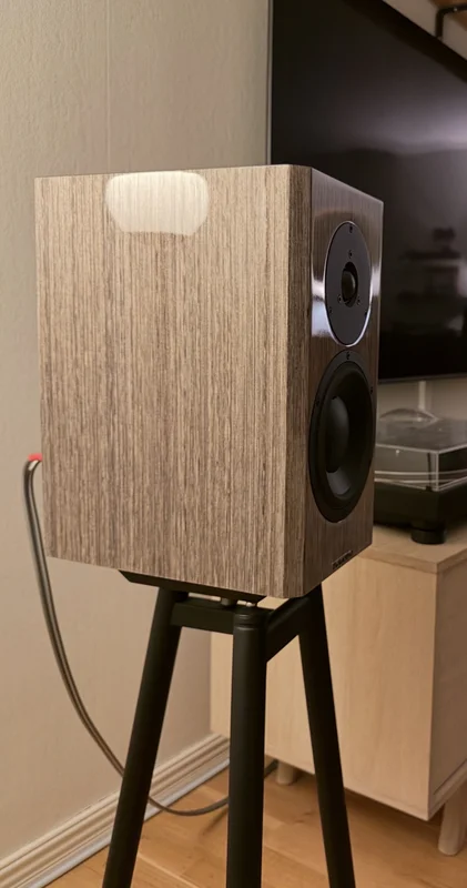 Dynaudio special forty Dynaudio special forty - Bild 1 av 1
