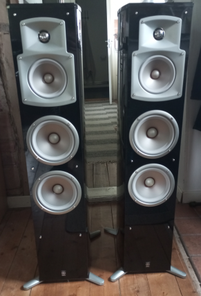 Yamaha NS-555