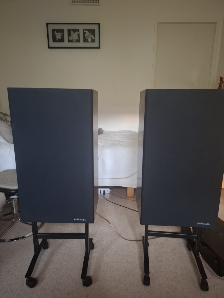 Polk Audio 10