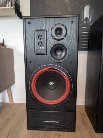 Cerwin Vega EE-312B