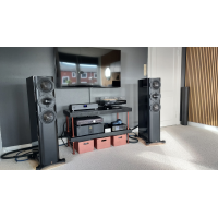 Perlisten S5t 