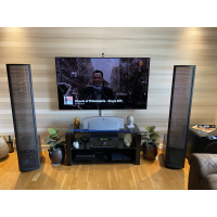 Martin Logan Ethos