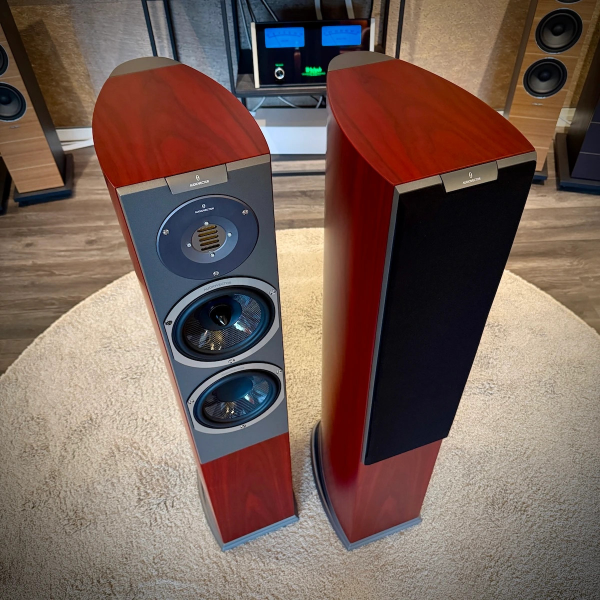 Audiovector R 3 Avantgarde - Demoex - Bild 2 av 3