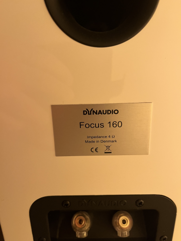 Dynaudio focus 160