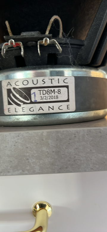 Aurum cantus G1 Acoustic Elegance TD8M