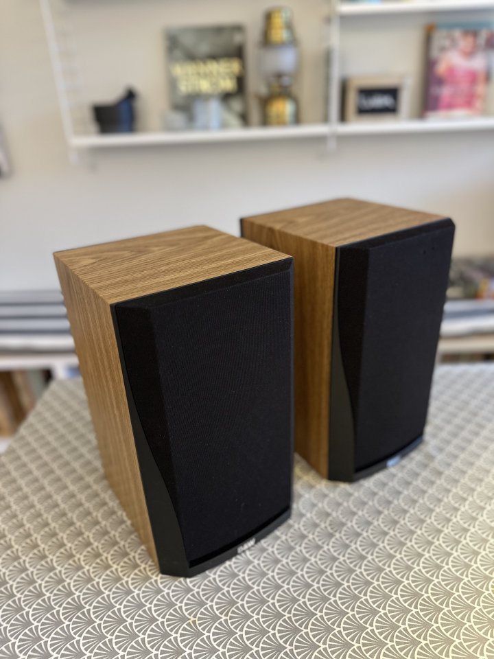 Bowers & Wilkins DM302