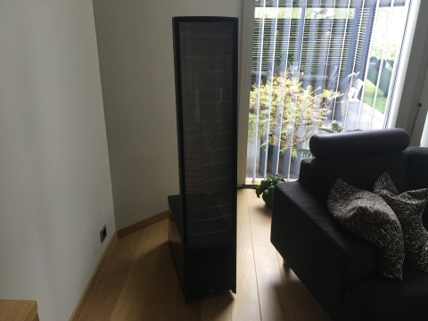 Martin Logan ESL 11A