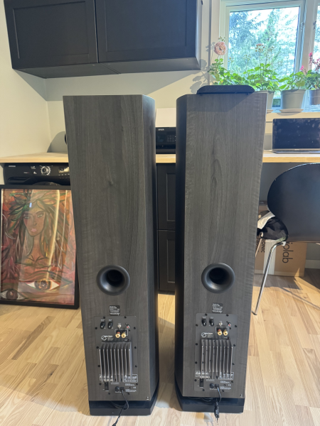 Audio Pro Avanti a.100 Audio Pro Avanti a.100 - Bild 2 av 5