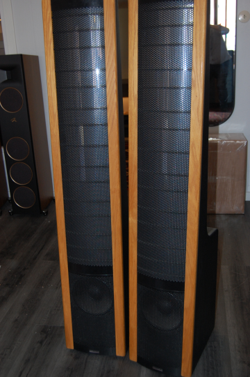 Martin Logan Aerius ** Sänkt Pris **