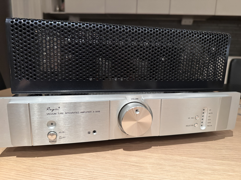 Cayin 300B med flera olika 300B-rör - Bild 9 av 11