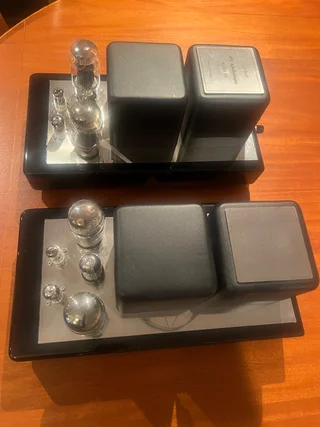 Aps monoblock