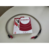 Chord Epic 1m rca