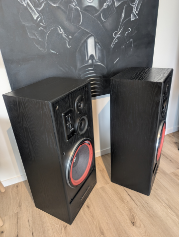 Cerwin Vega EE-312B