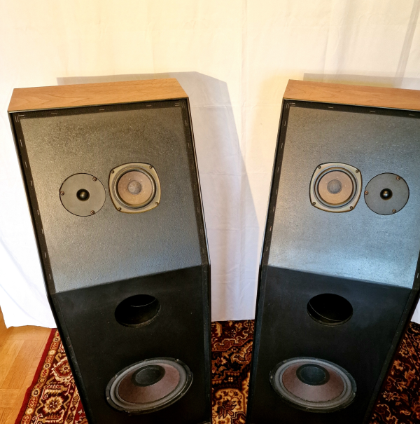 Snell Type C - Bild 4 av 7