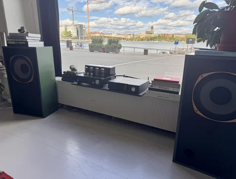 Intressekoll. Tannoy, Line magnetic, Auralic, Rel