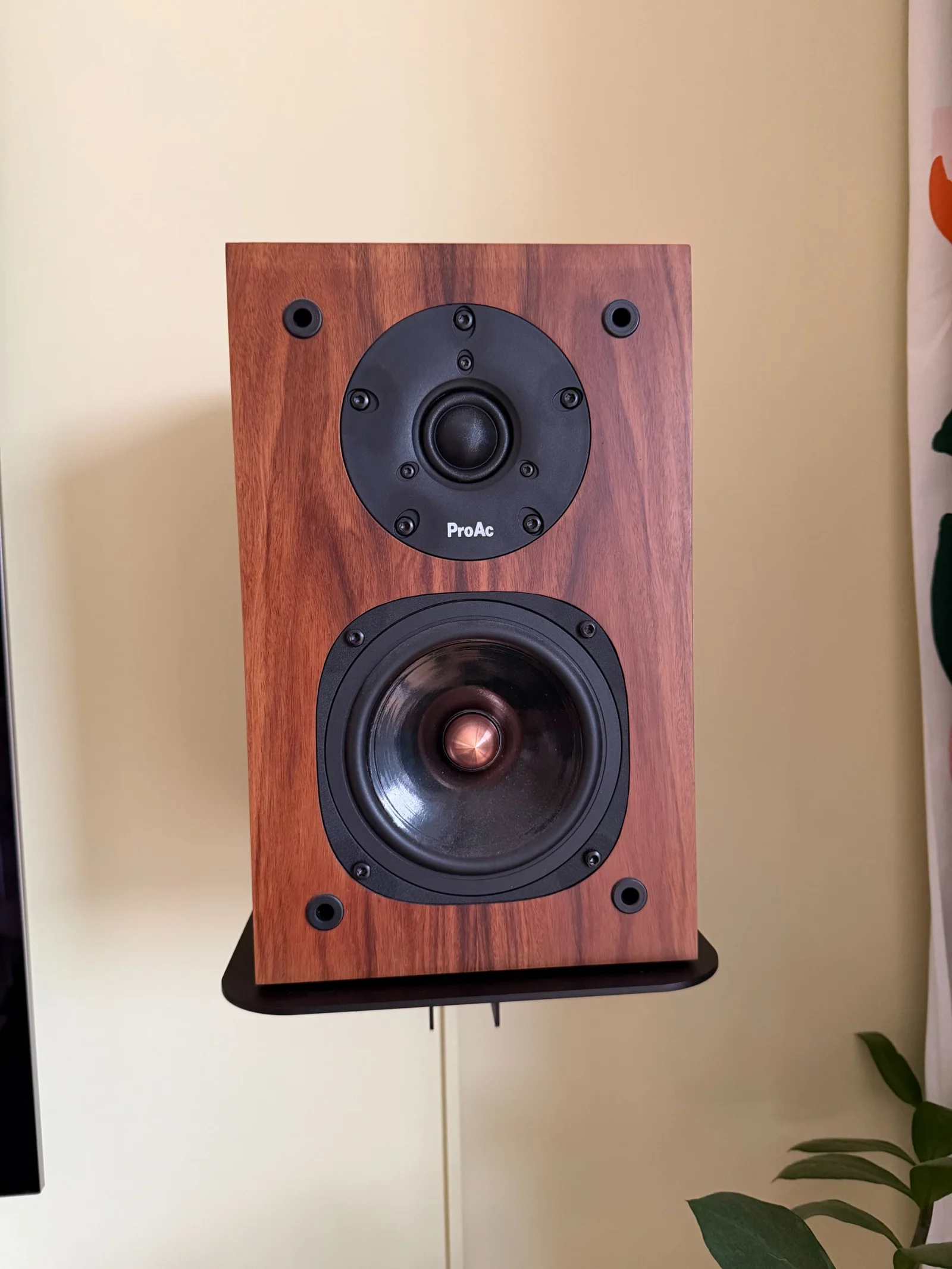 ProAc Tablette 10 Signature i Rosewood ProAc Tablette 10 Signature i Rosewood - Bild 2 av 4