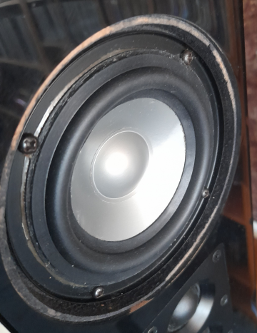Earthquake-Platinee Noiree