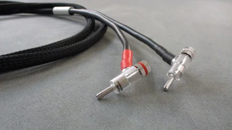Dyrholm Audio - Phoenix 1. gen