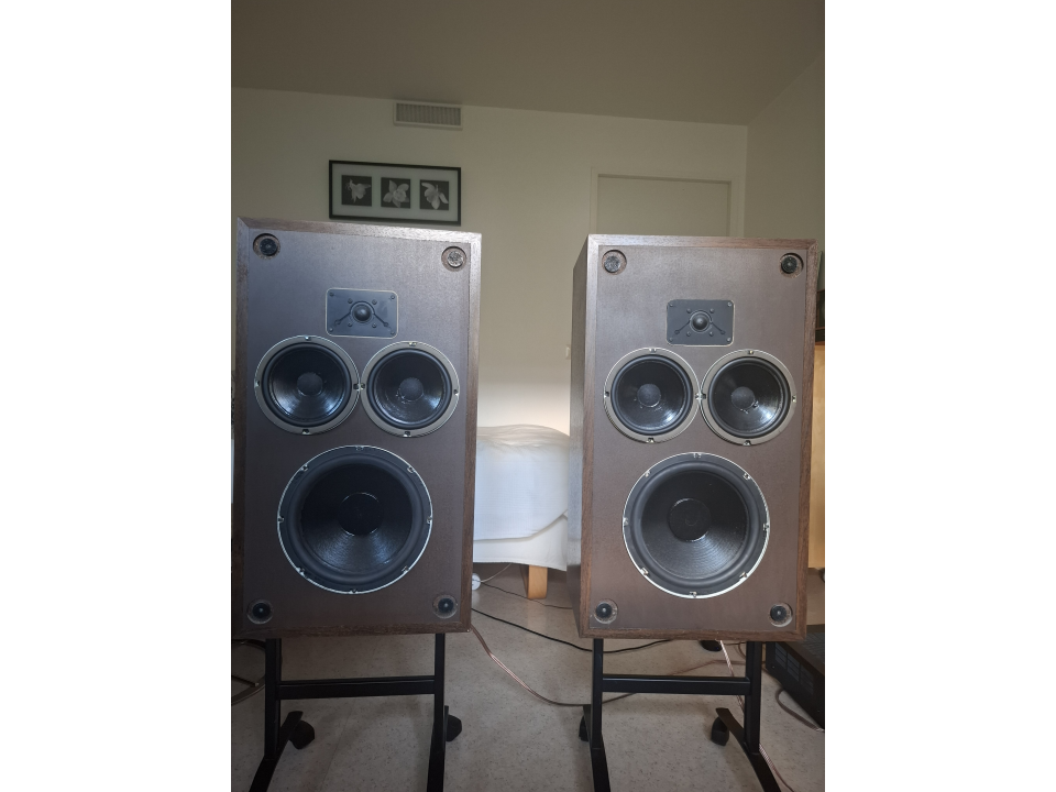 Polk Audio 10