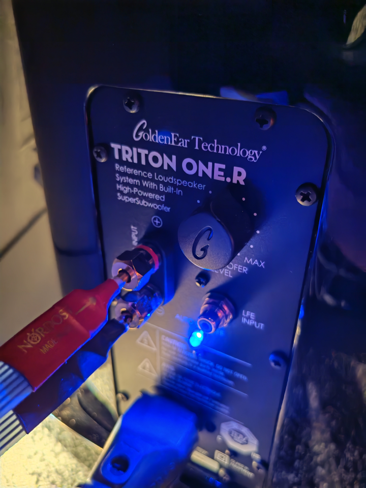 GoldenEar Triton One.R