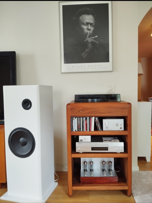 Rauna Continuo Hansson/Nykroppa - Bild 4 av 4