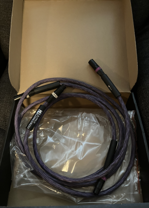 Sonus Concordia xlr