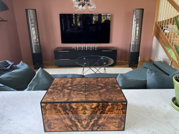 Martin Logan ESL X