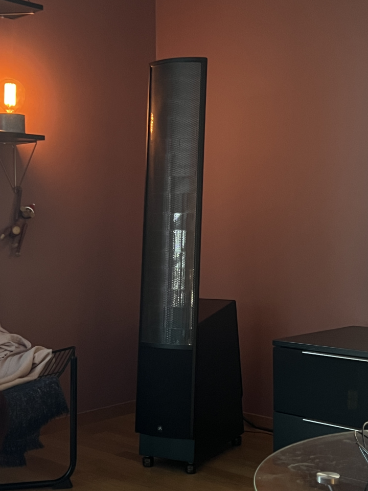 Martin Logan ESL X