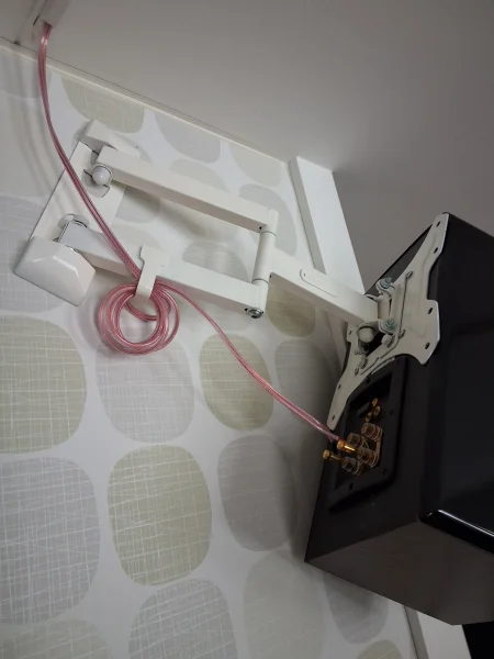 Dynavoice Högtalare i mycket fint skick. Dynavoice Högtalare i mycket fint skick. - Bild 7 av 7