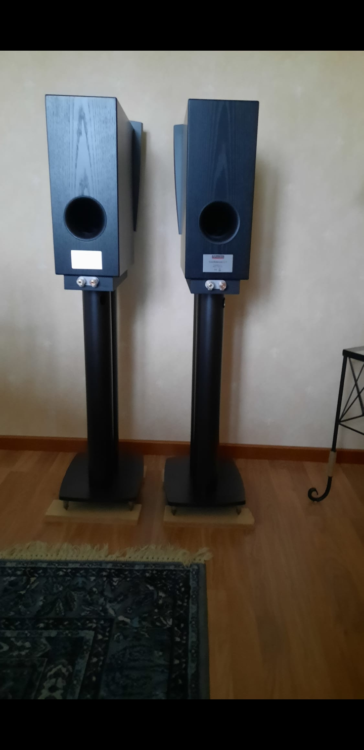 Dynaudio confidence c1 mk1 ink stativ