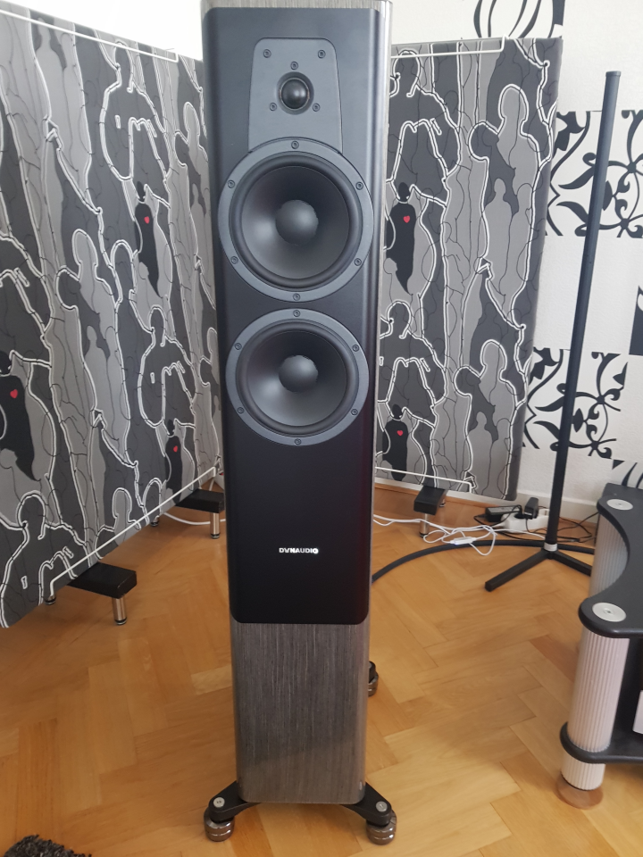 Dynaudio Contour 30i