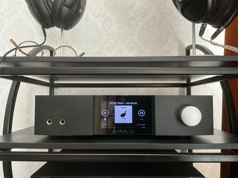 Auralic Vega G1 &ndash; Streaming-DAC / digitalt f&ouml;rsteg - Bild 1 av 4